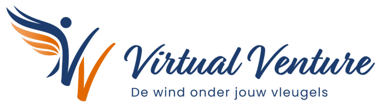 Virtual Venture